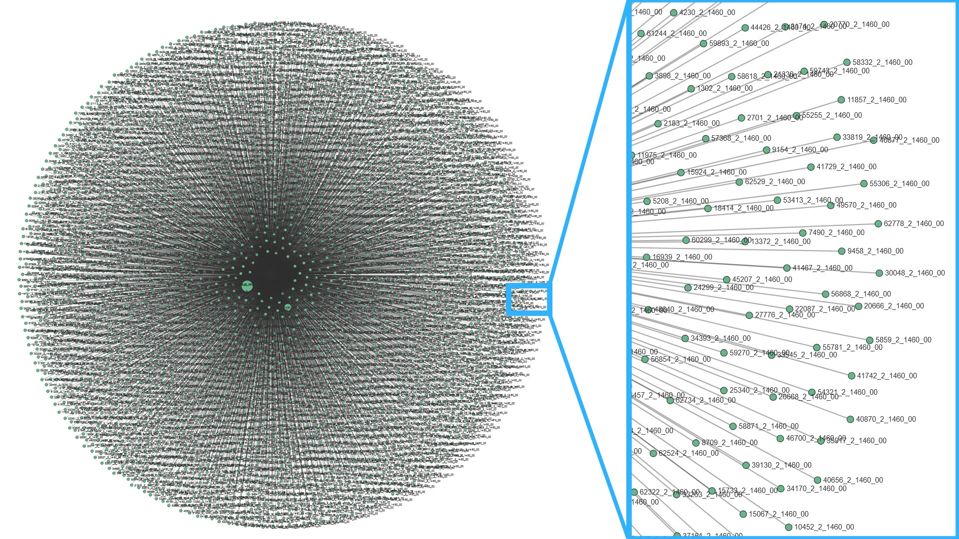 Fingerprint cluster of IP 185.142.236.38 